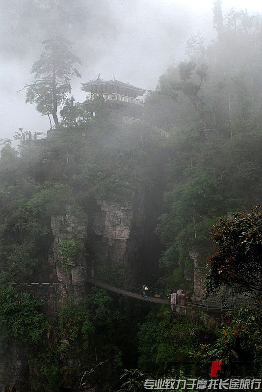 20096111159731344.jpg