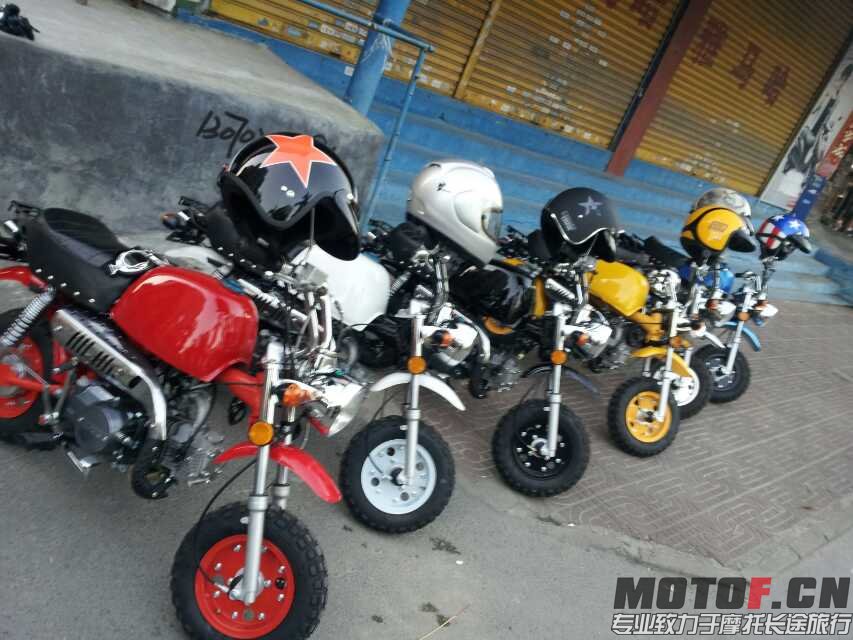 mmexport1394074940183.jpg