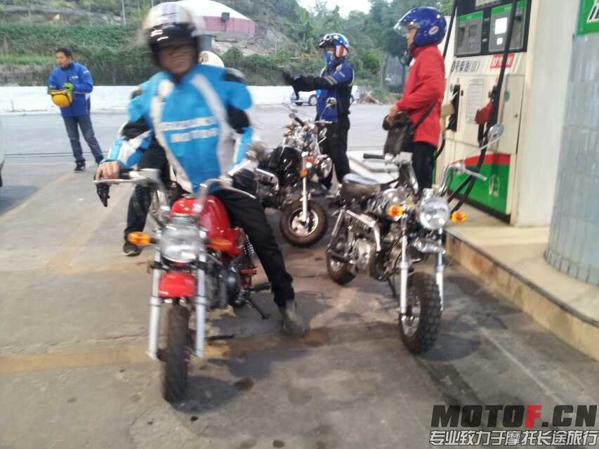 mmexport1394076295029.jpg