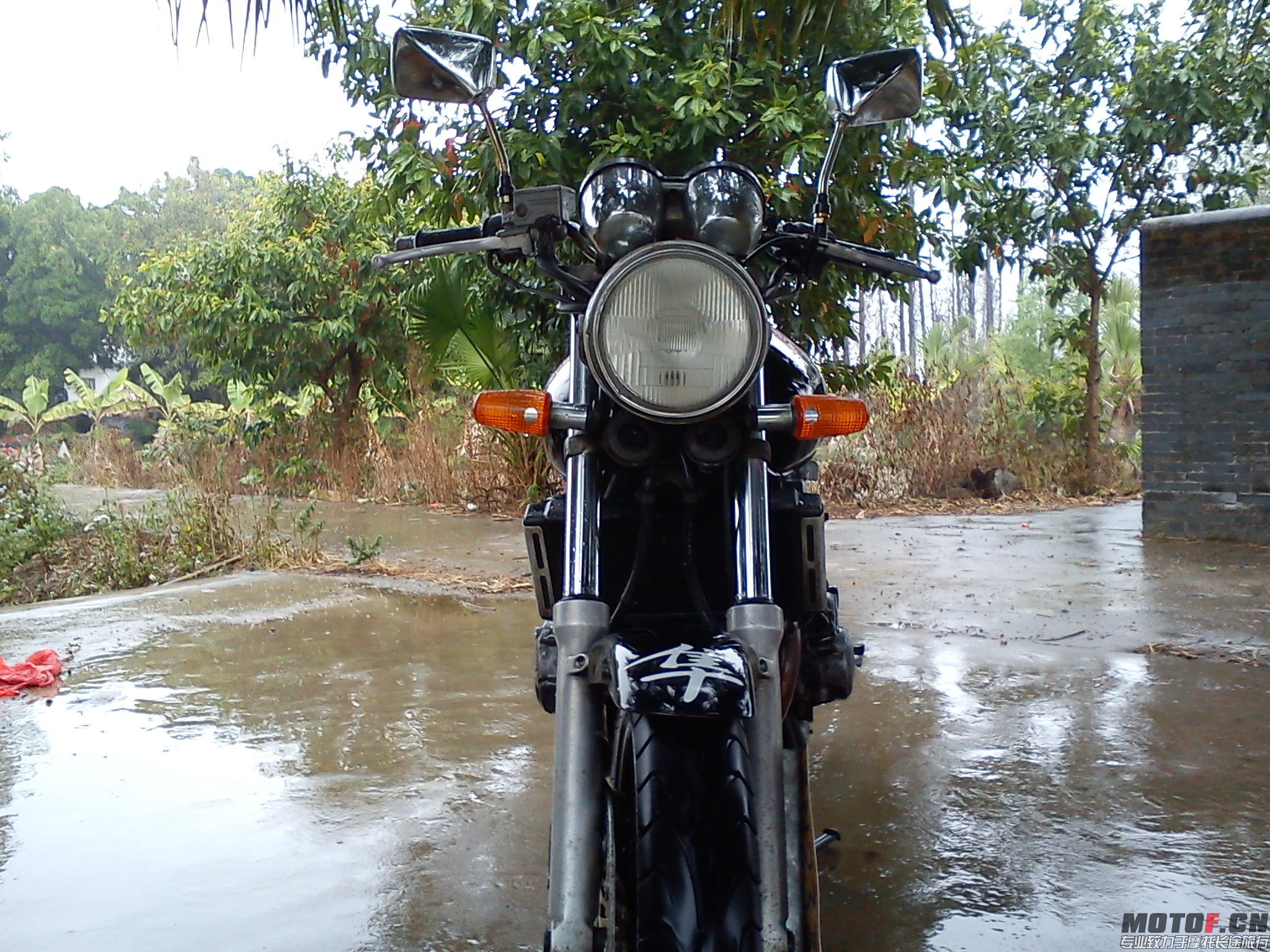 DSC00709.jpg