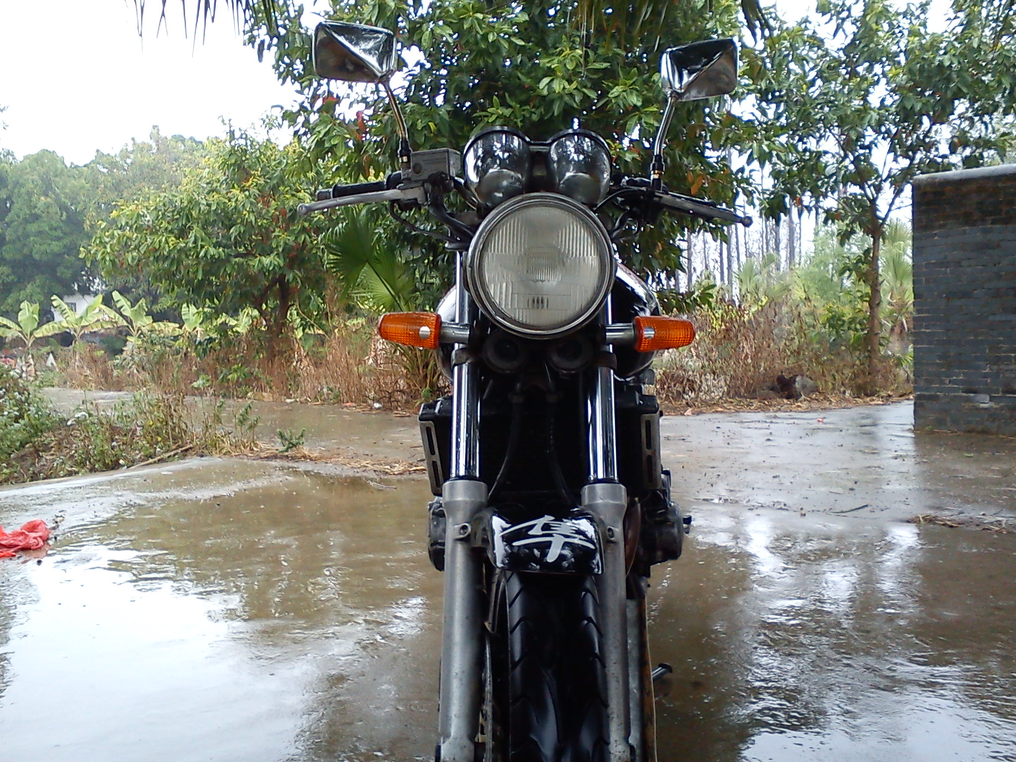 DSC00709.jpg