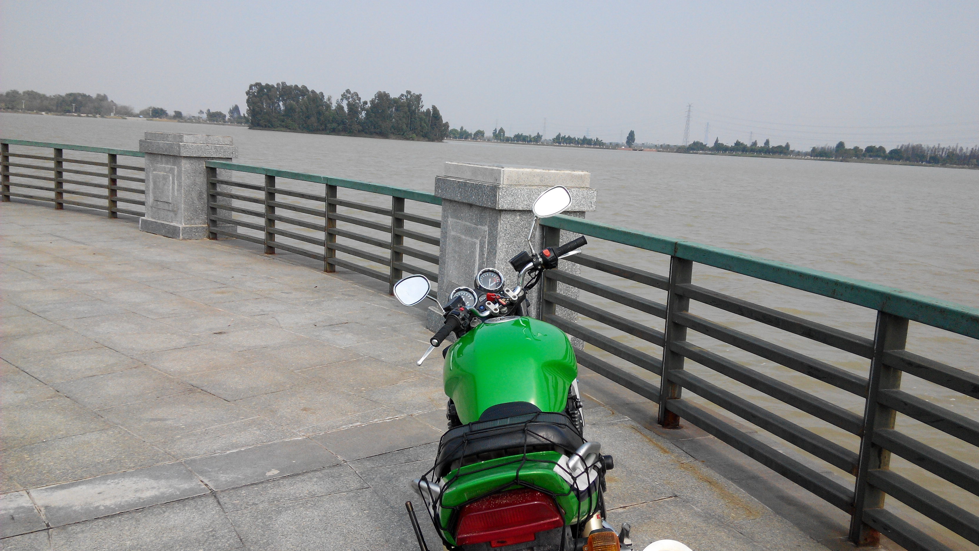 IMG_20140214_143100.jpg
