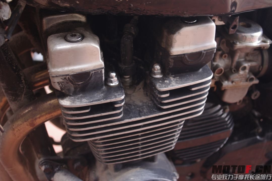 IMGP3352.JPG