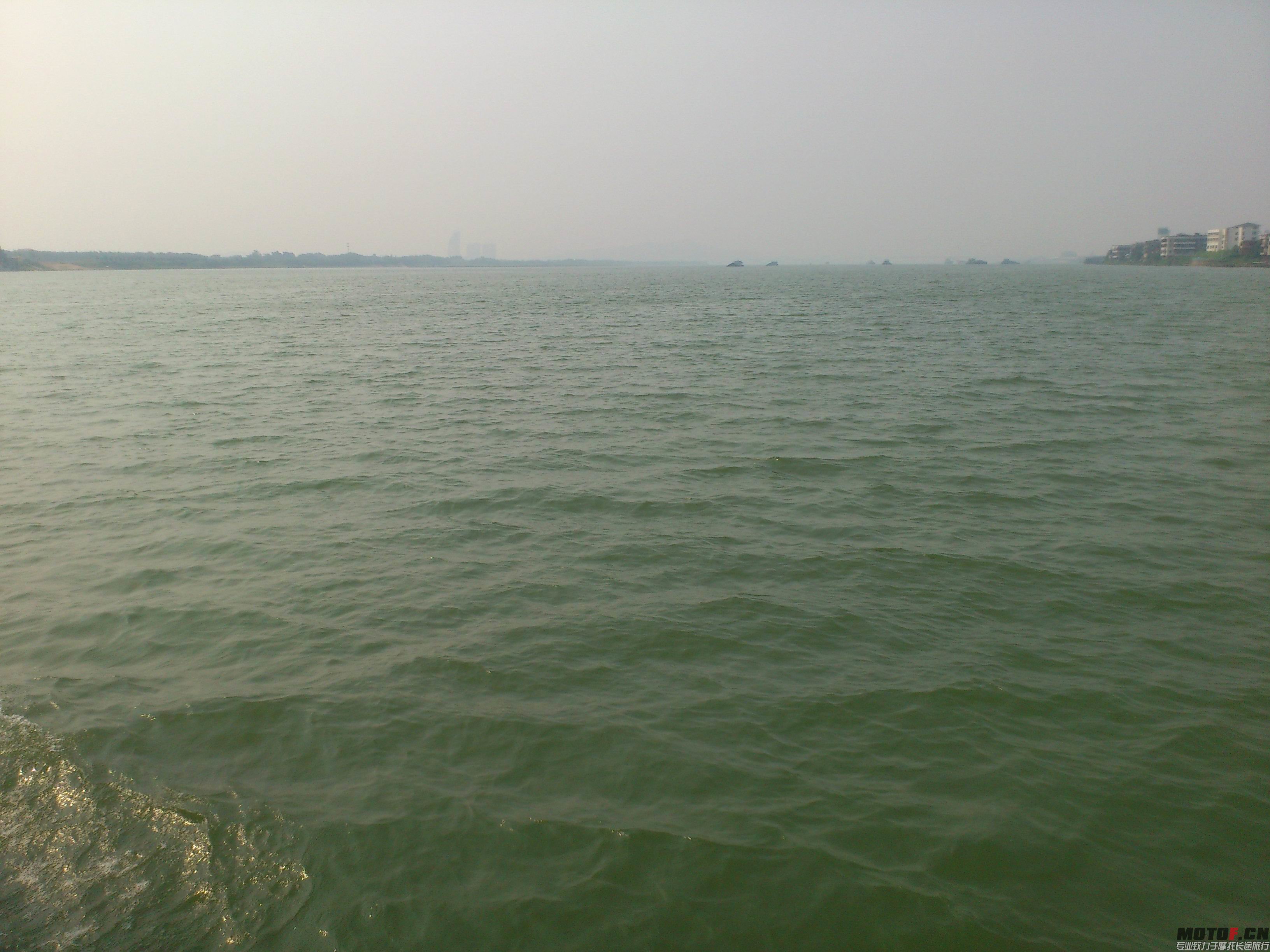 DSC_0500.jpg
