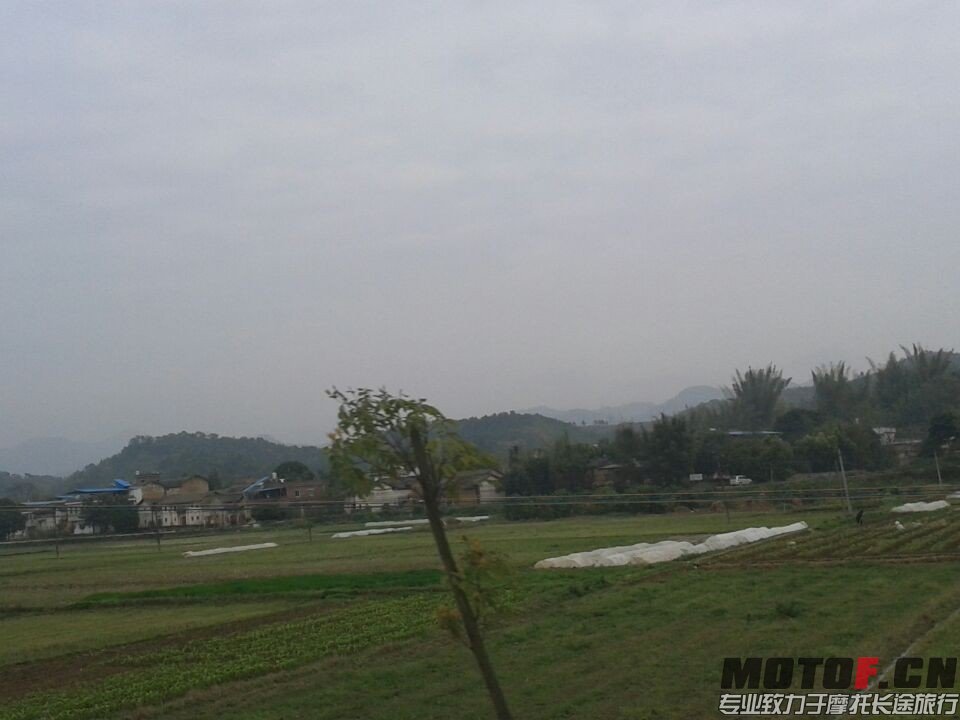 QQ图片20140316172334.jpg
