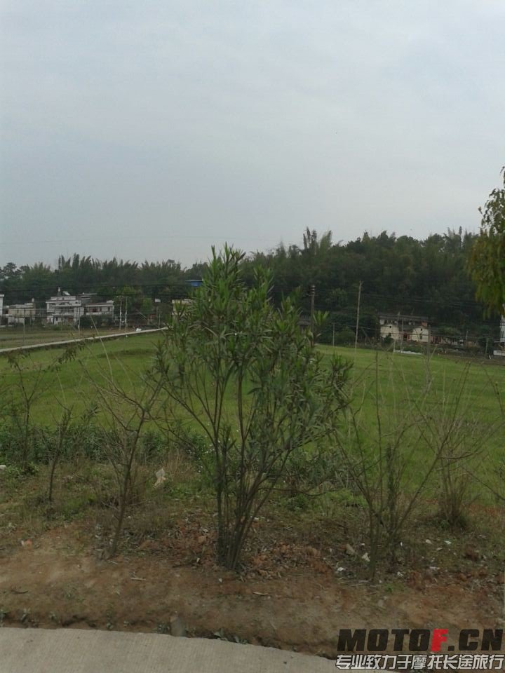 QQ图片20140316172556.jpg