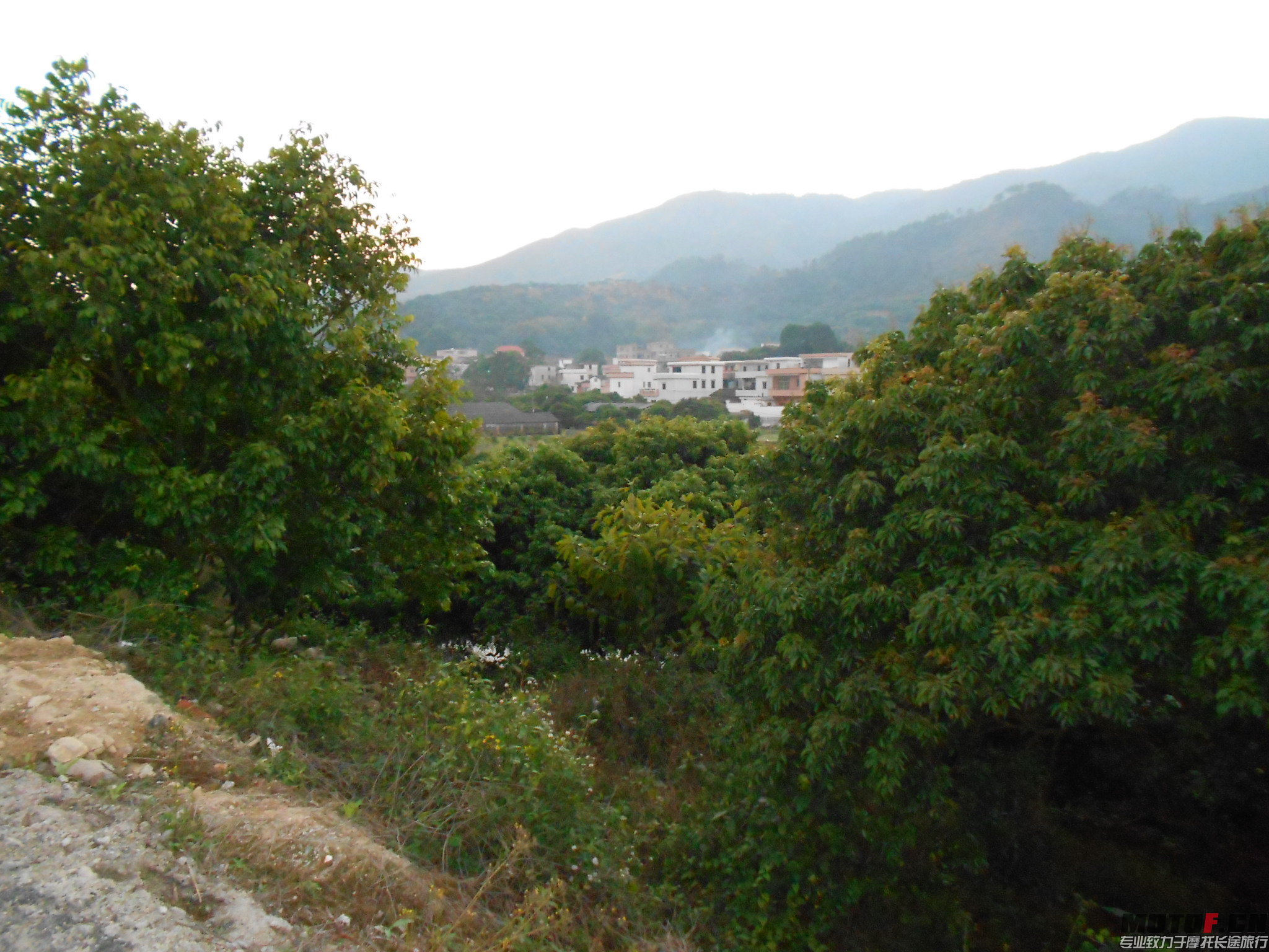 DSCN0164.JPG