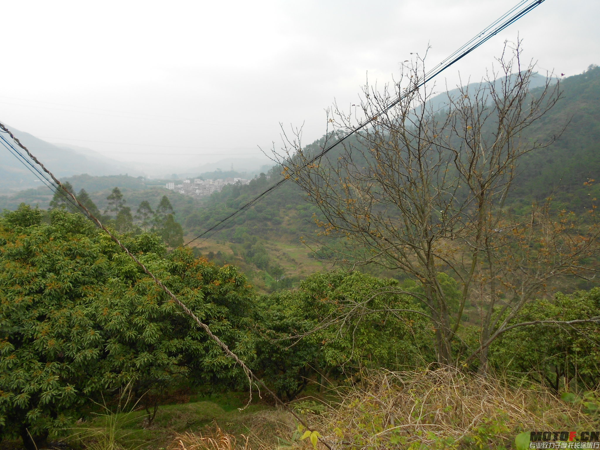 DSCN0171.JPG