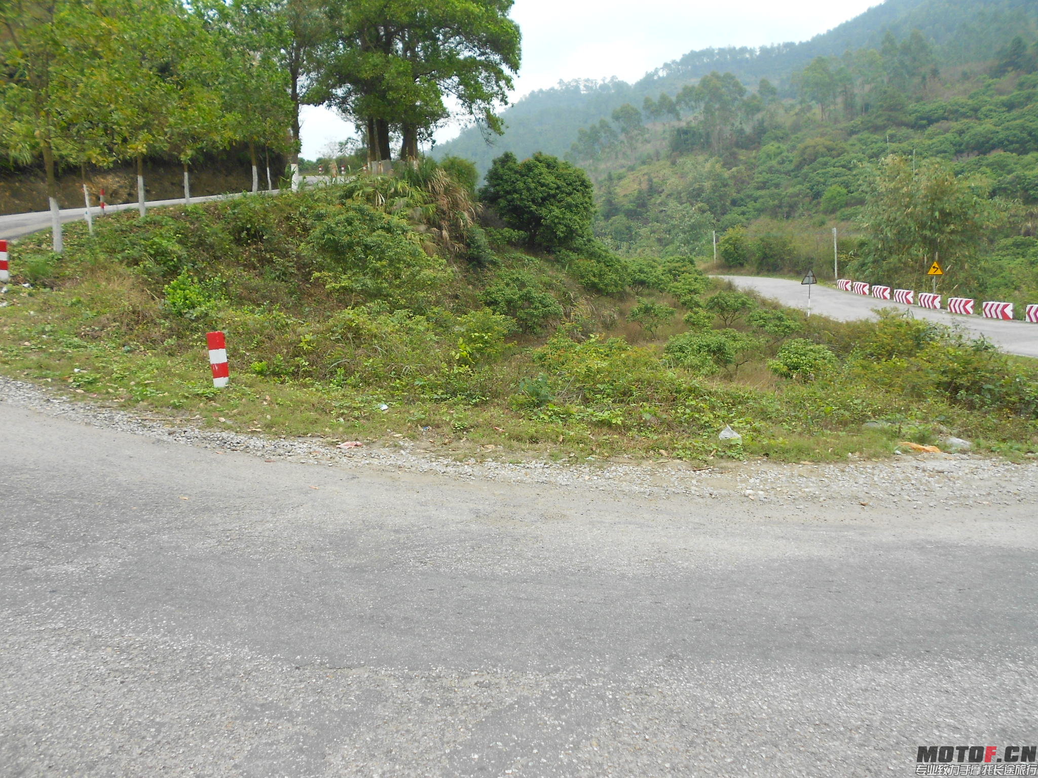 DSCN0173.JPG