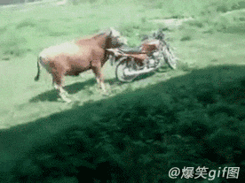 890249be-20aa-4d4f-a225-dbb5447c9270.gif