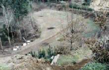 2012030508560032860.gif