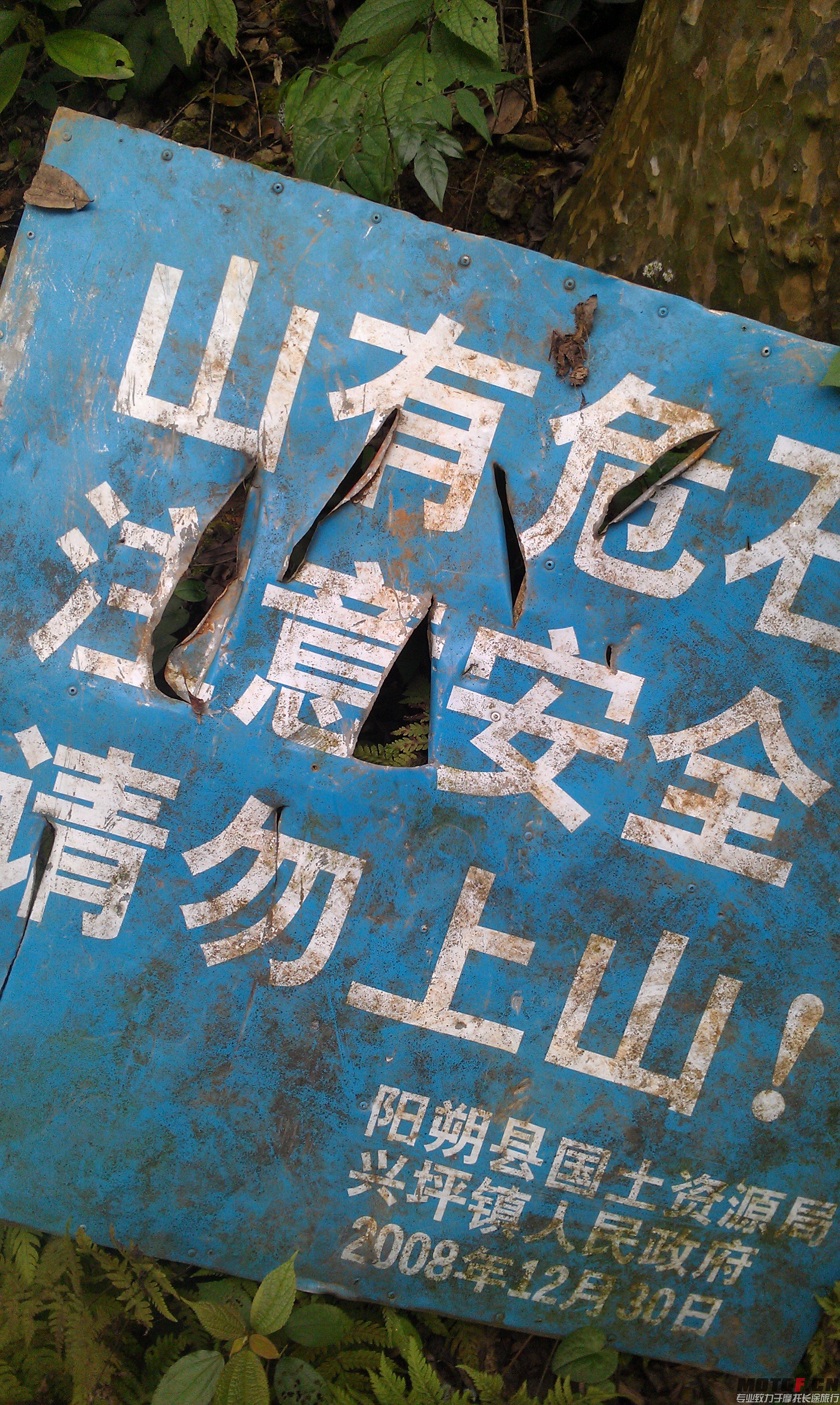 IMAG0652.jpg