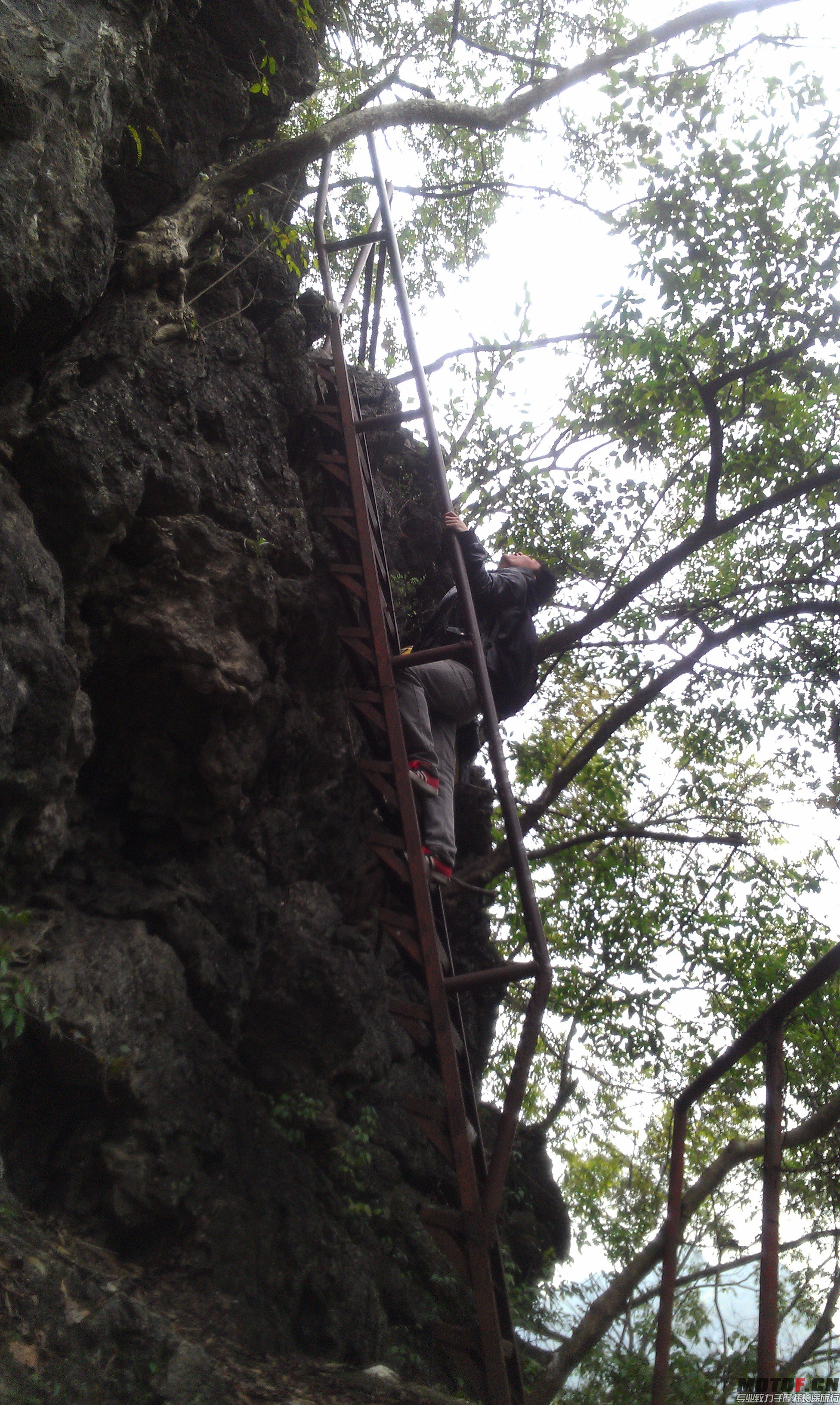 IMAG0653.jpg