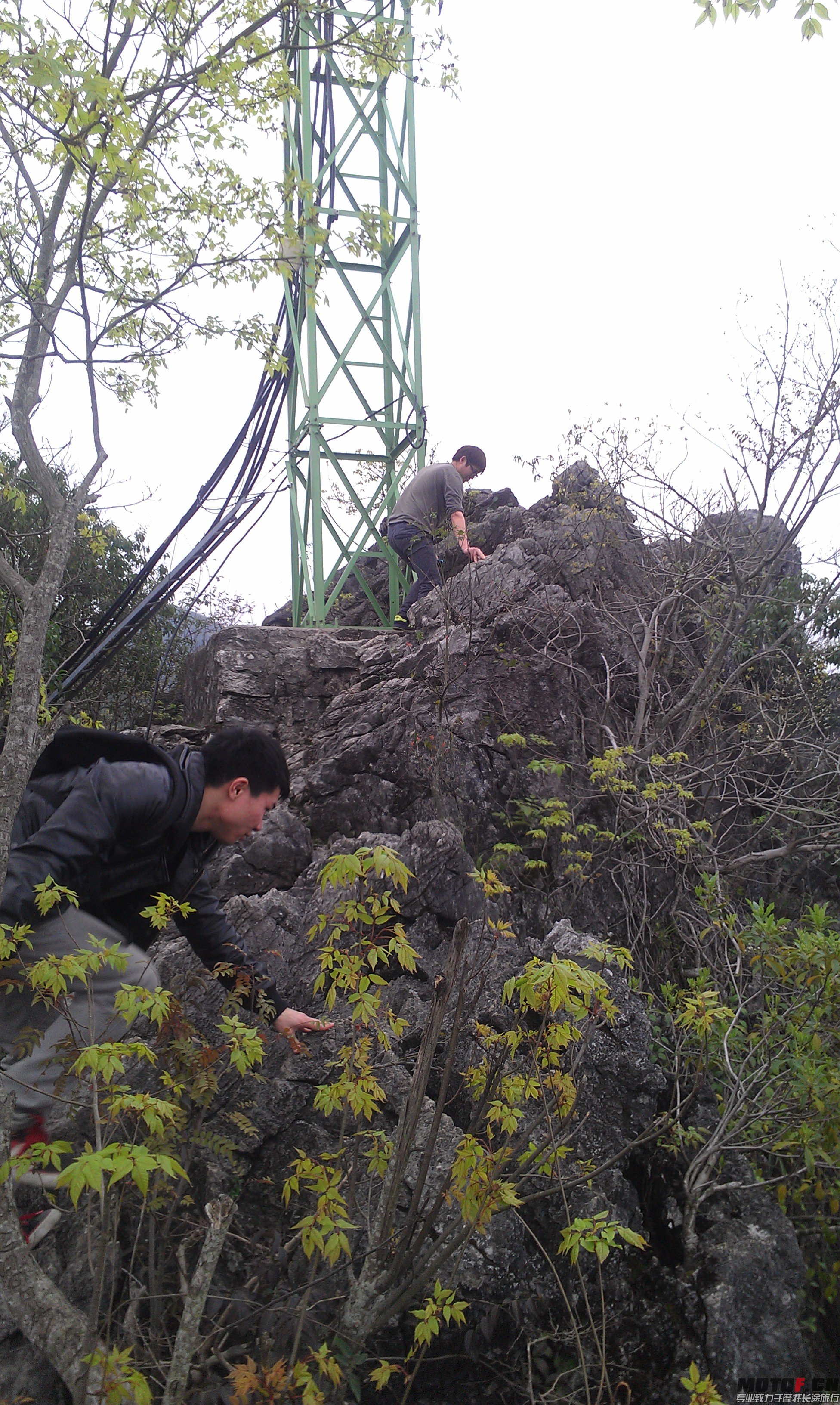 IMAG0655.jpg