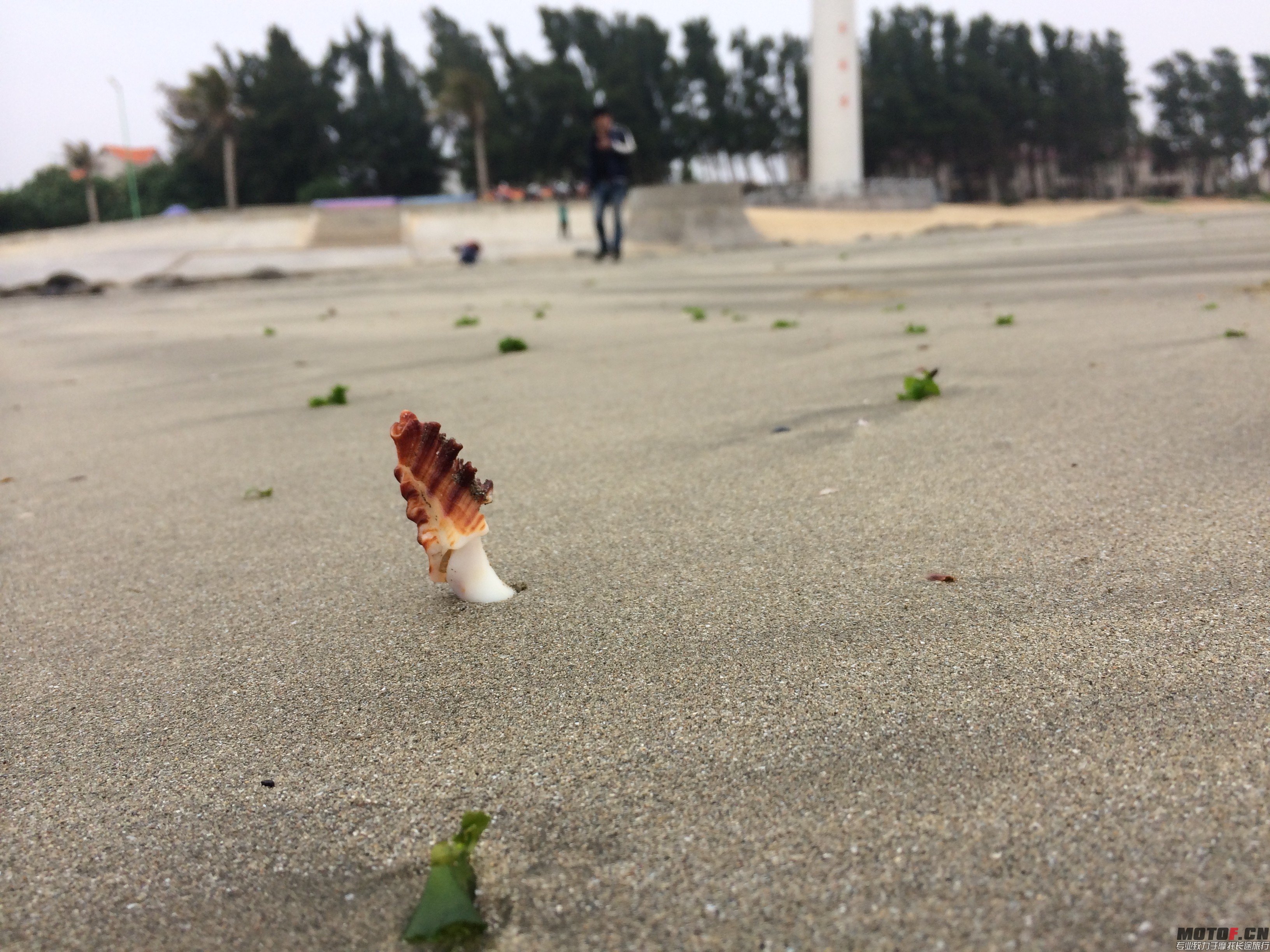 QQ图片20140320094139.jpg