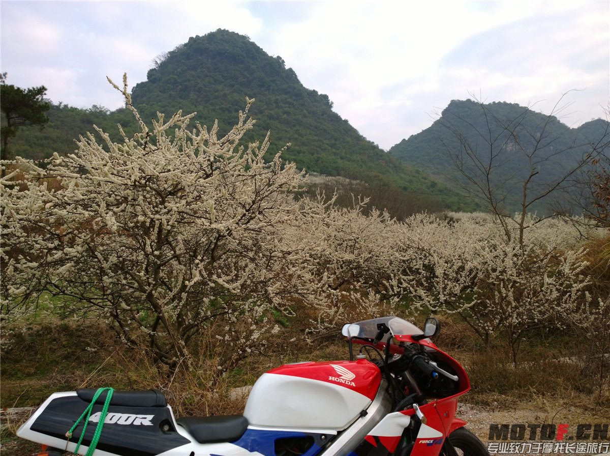 WP_20140203_08_13_29_Pro.jpg