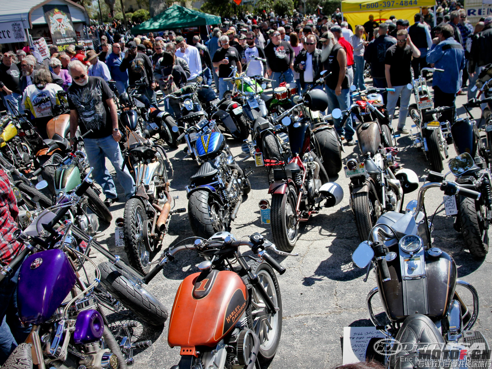 WilliesTropicalTattooBikeShow20146.jpg