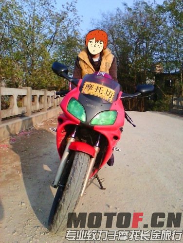 image.jpg