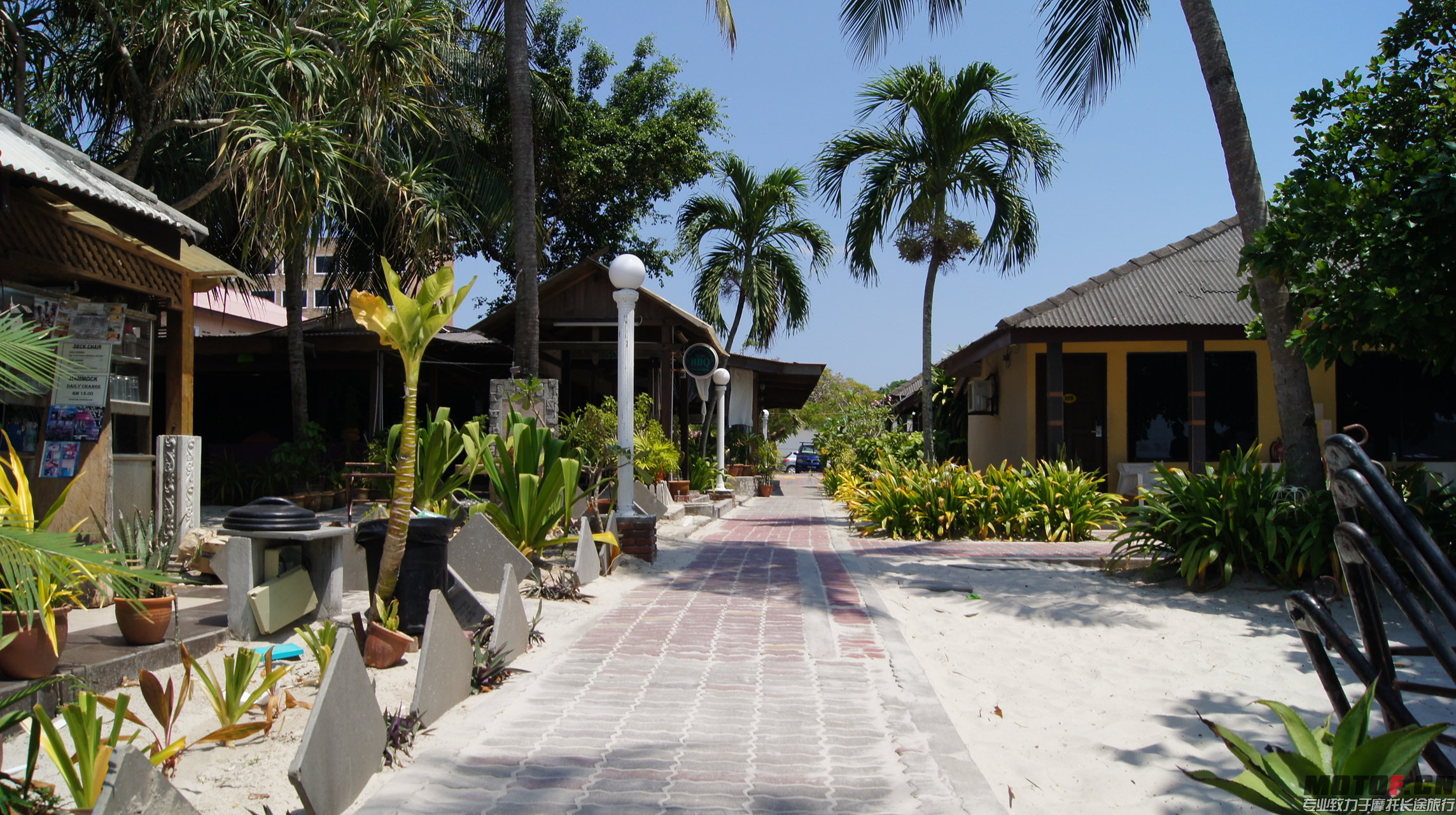 DSC09172.JPG