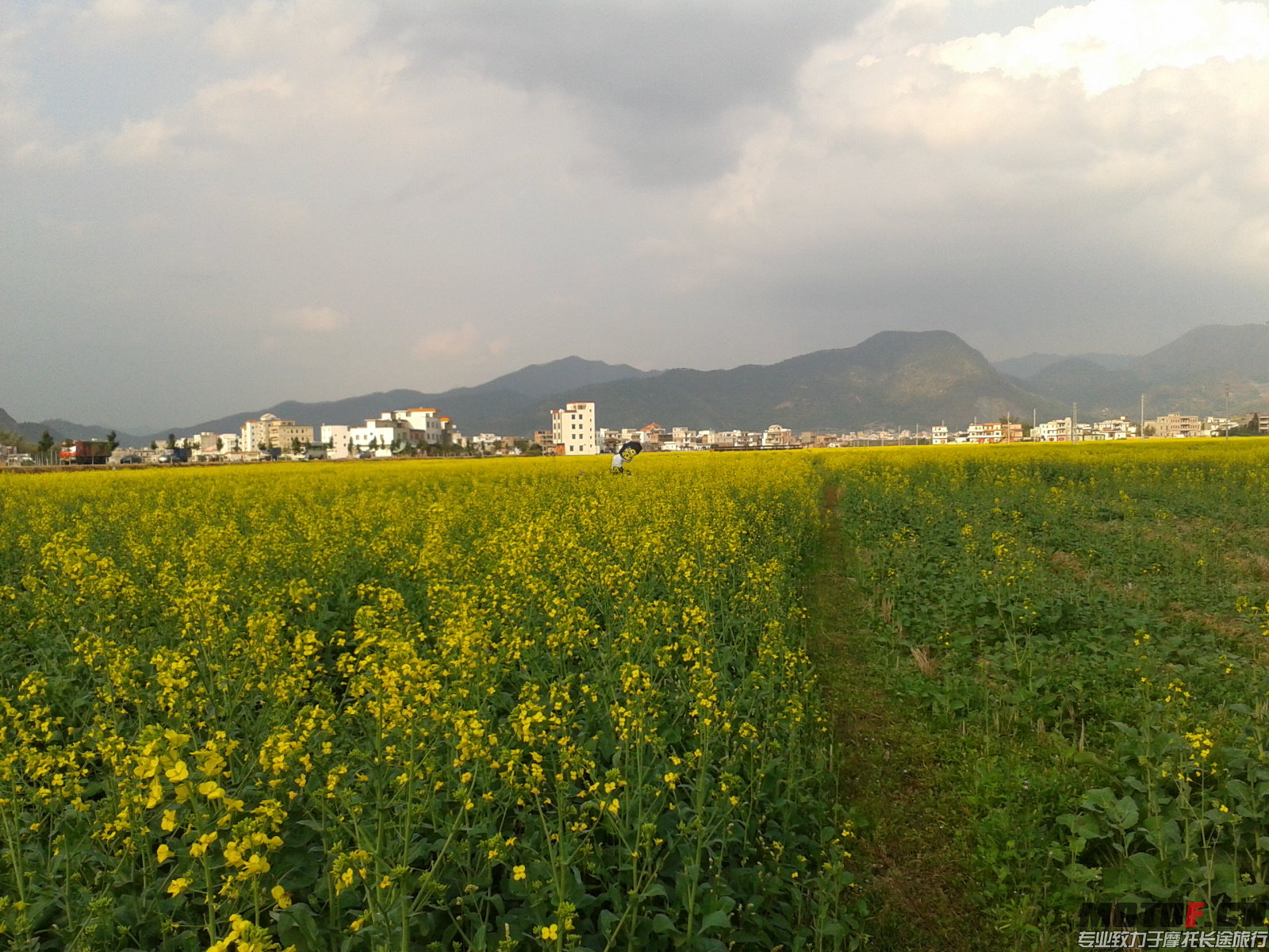 2012-02-23 16.16.38.jpg