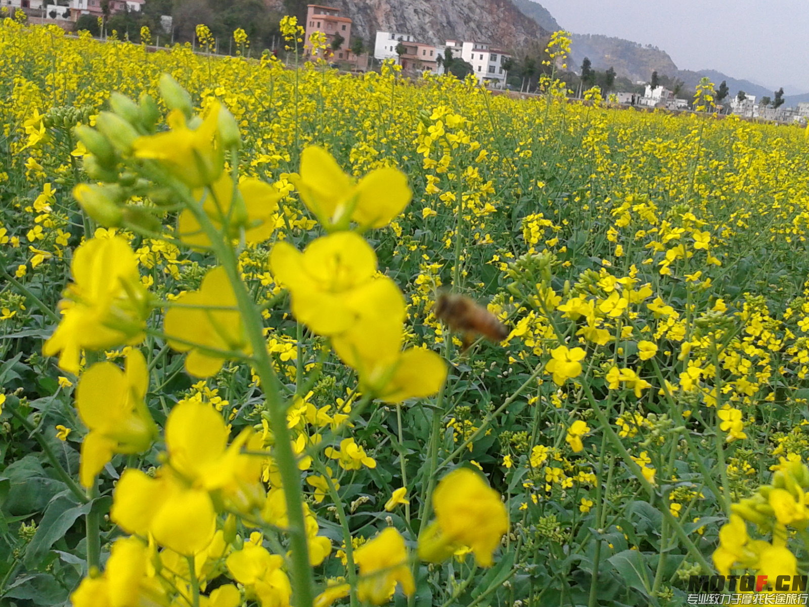 2012-02-23 16.19.09.jpg
