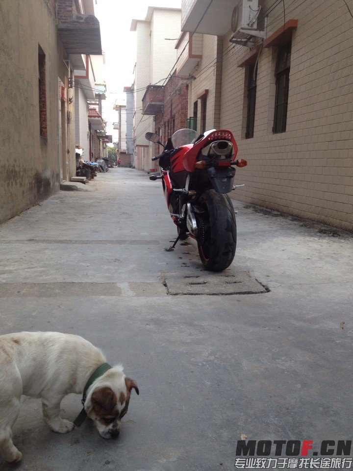 QQ图片20140327005806.jpg