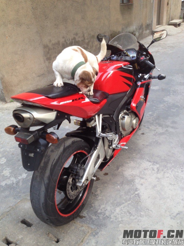 QQ图片20140327005840.jpg