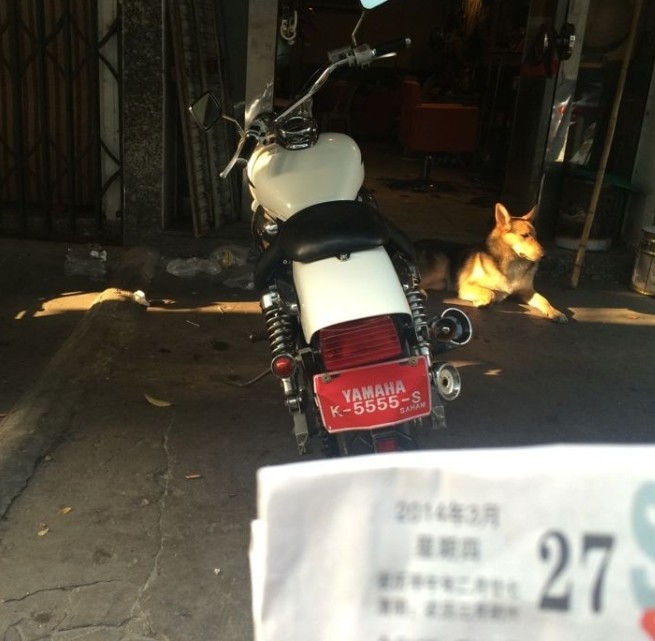 QQ图片20140327194419.jpg