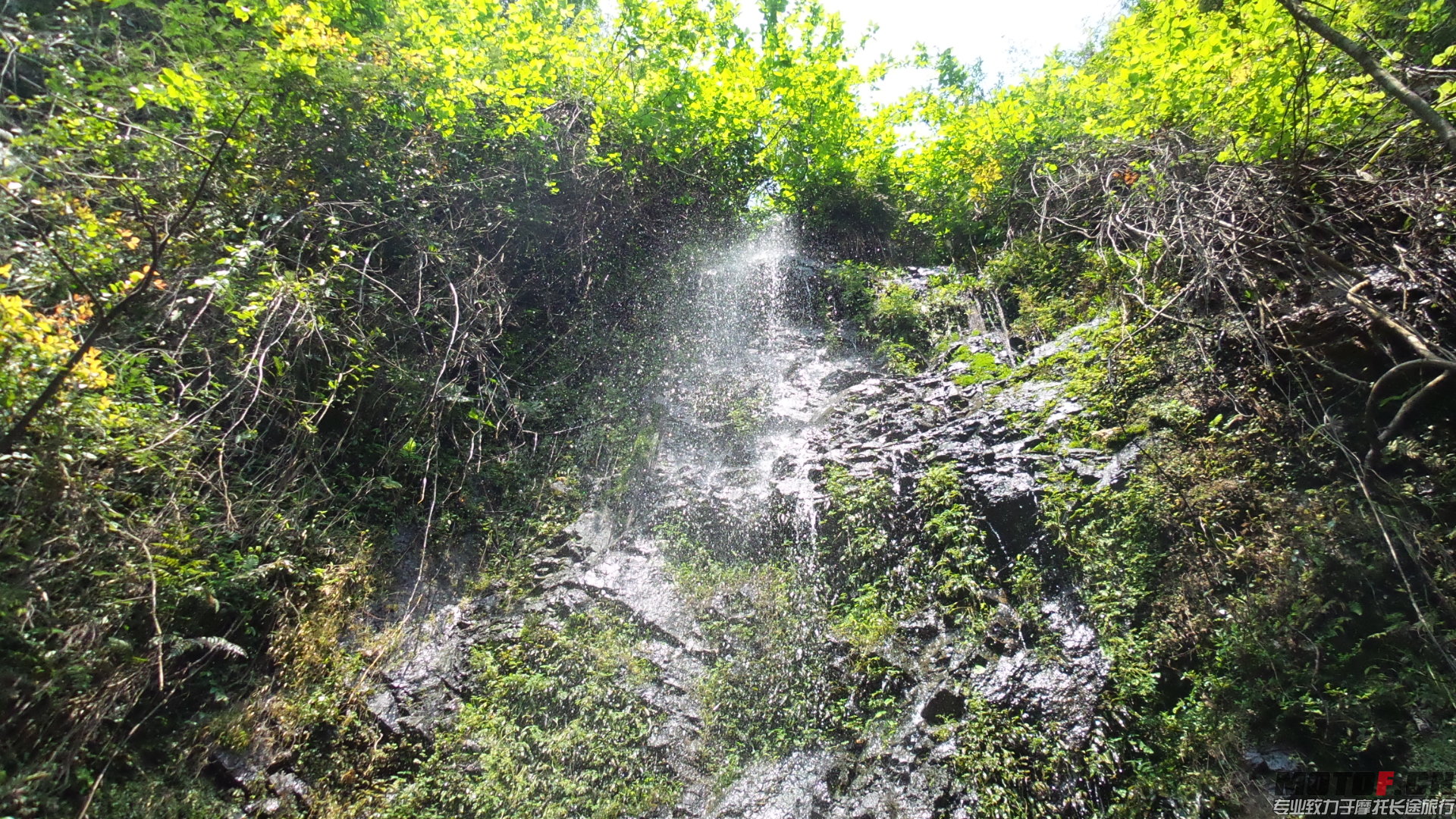 20140325_105116.jpg
