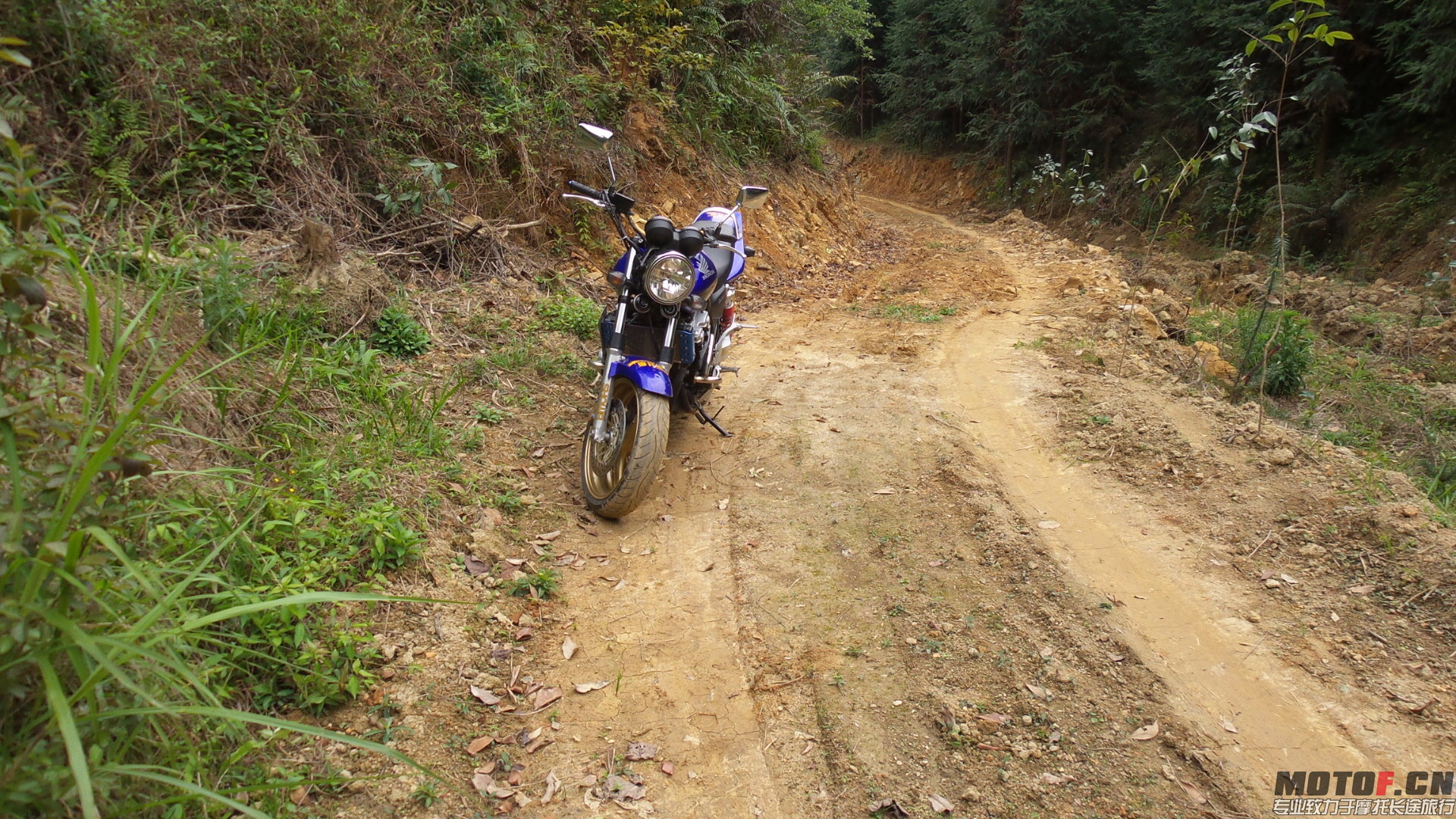20140328_111742.jpg
