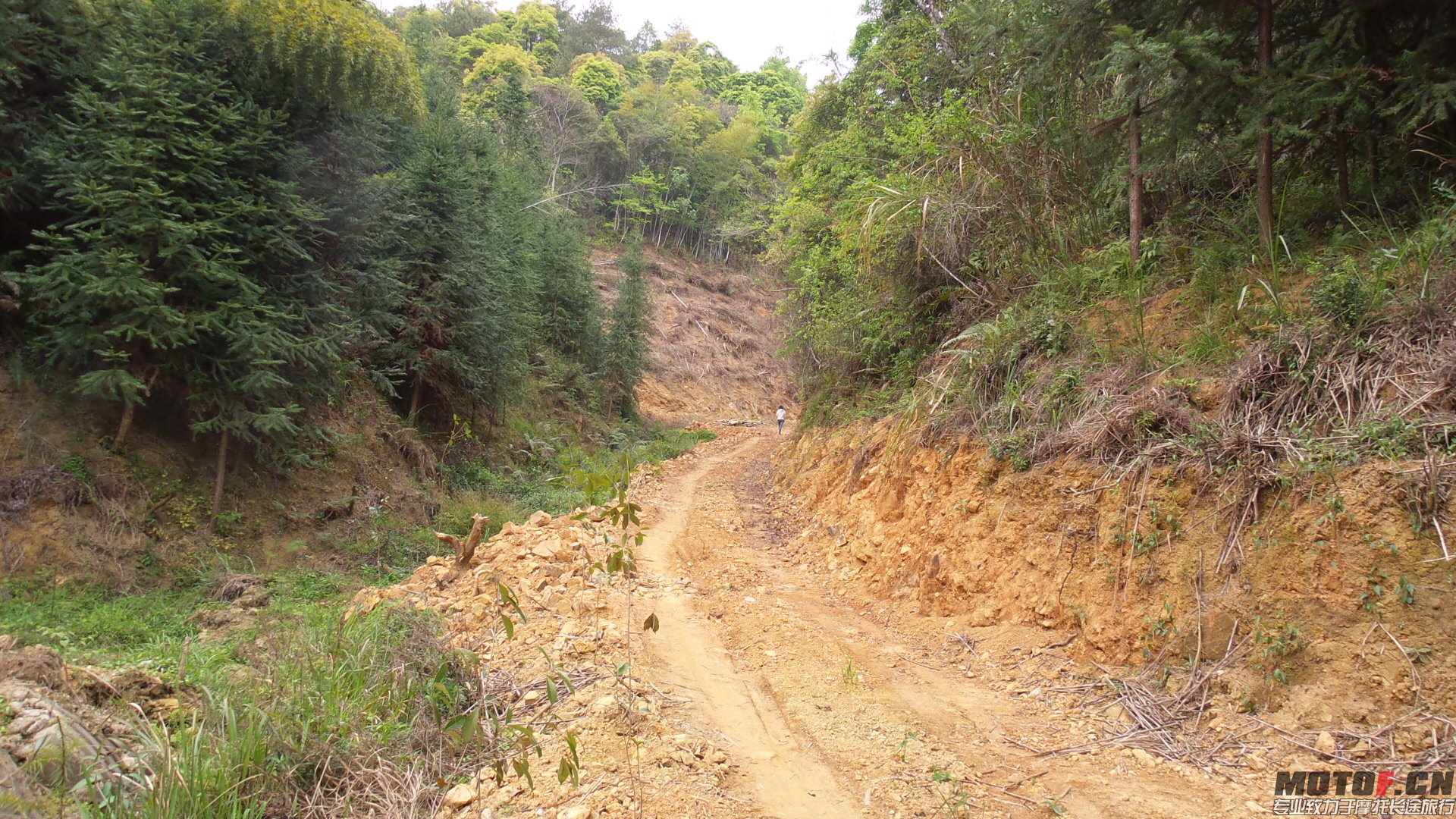 20140328_111749.jpg
