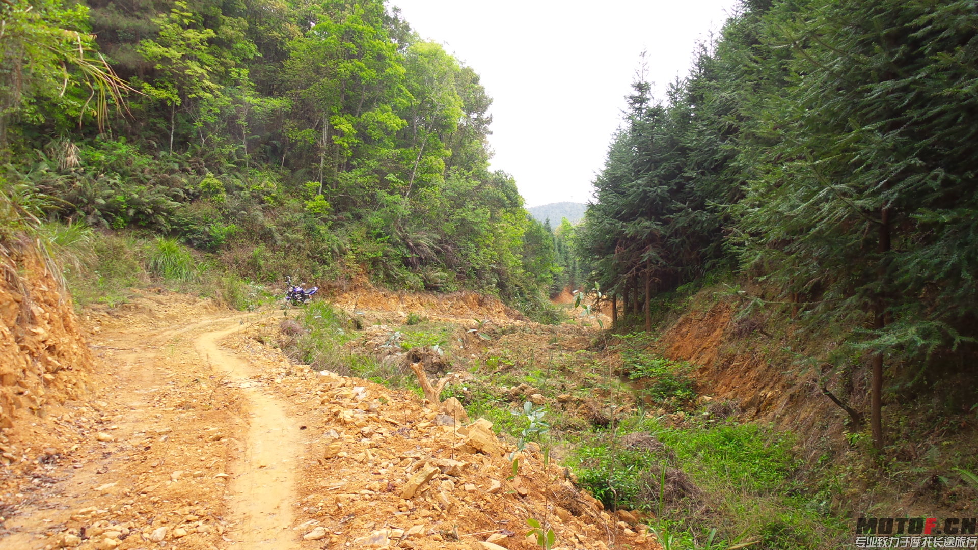 20140328_111814.jpg