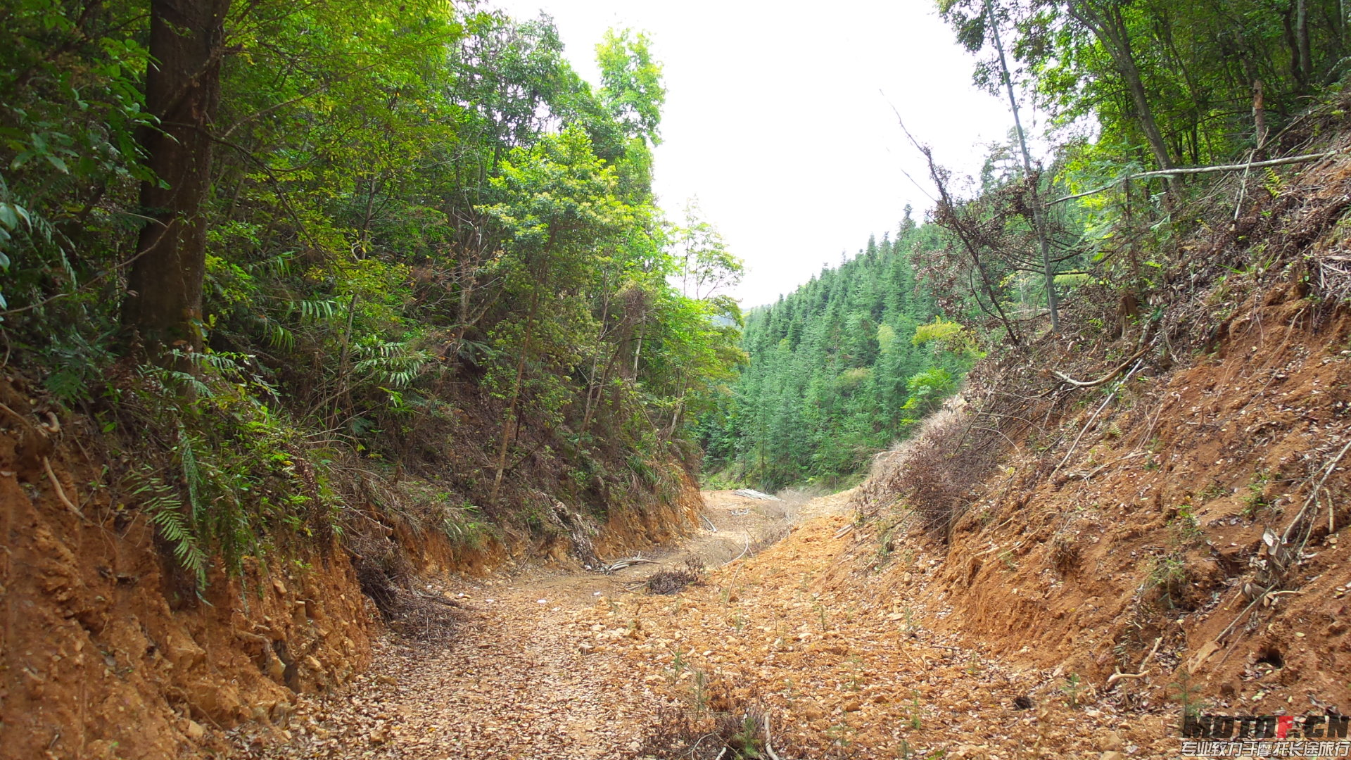 20140328_112009.jpg