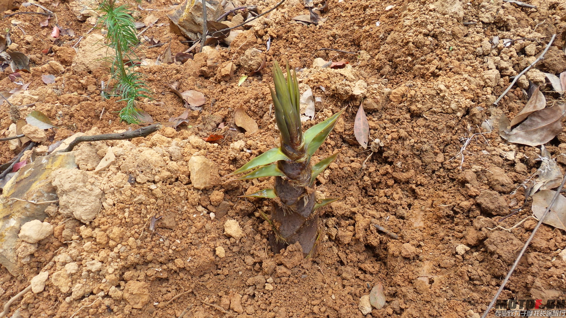 20140328_112050.jpg