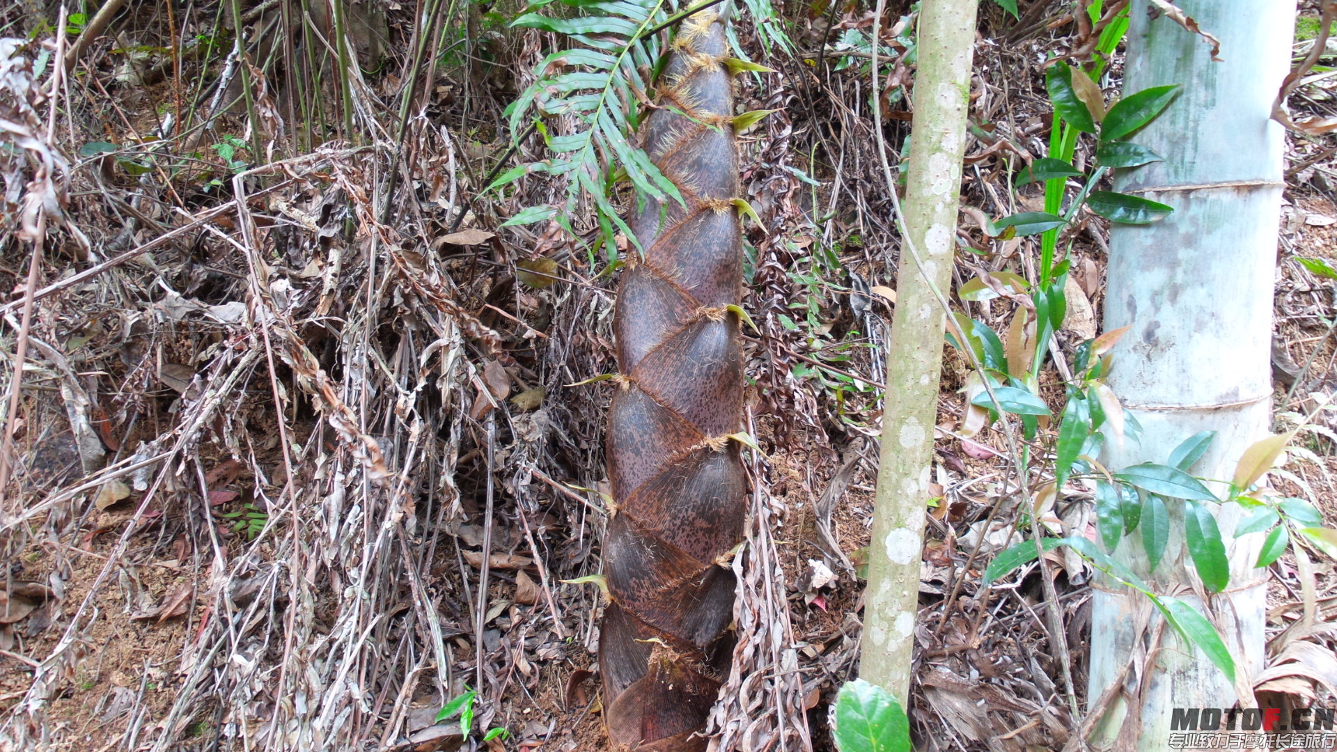 20140328_112441.jpg