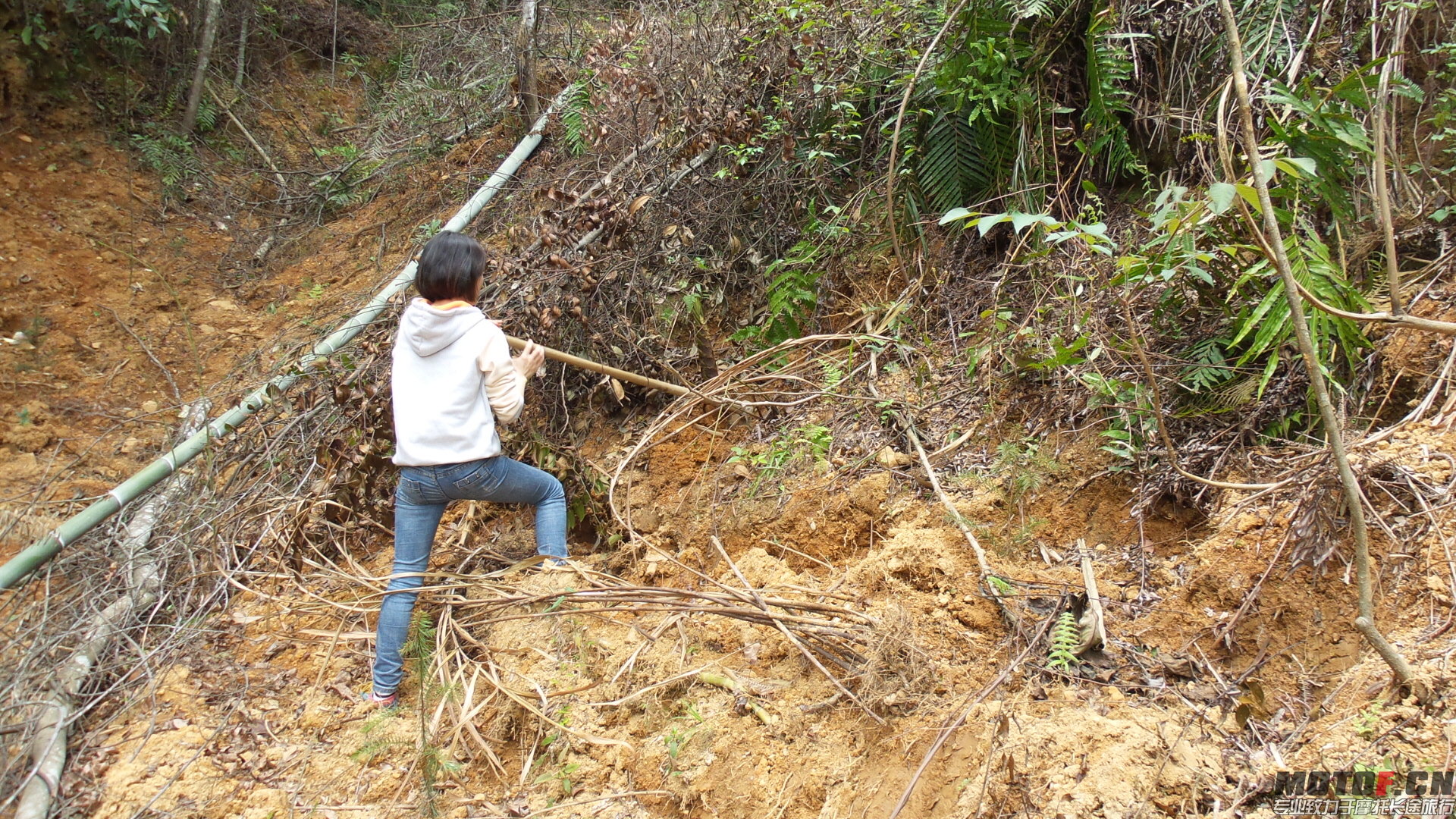 20140328_113333.jpg
