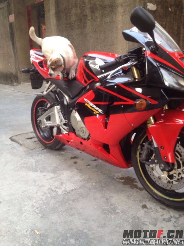 QQ图片20140327005912.jpg