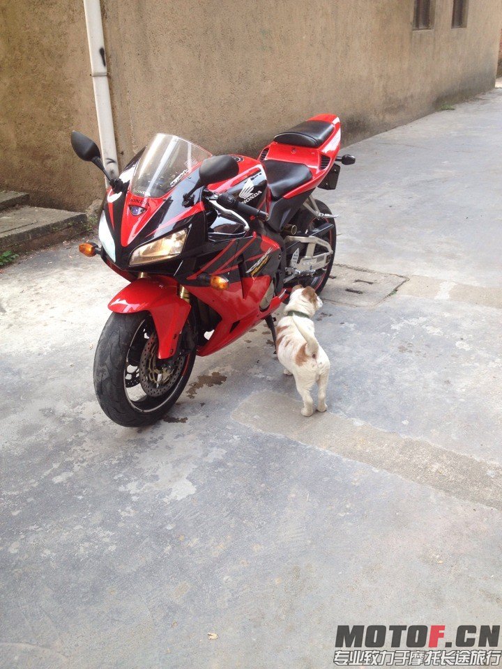 QQ图片20140327005837.jpg