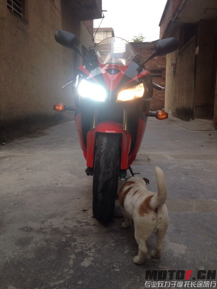 QQ图片20140327005826.jpg