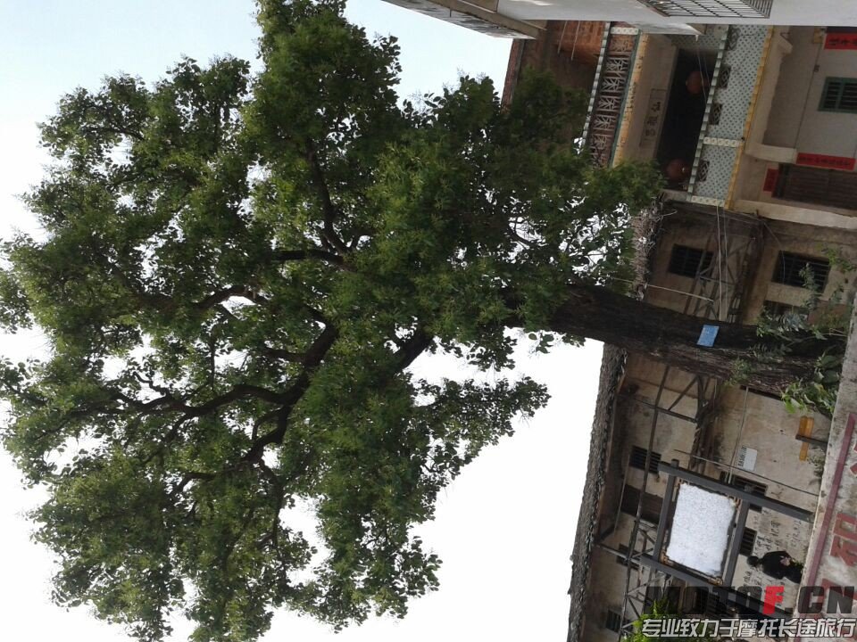 QQ图片20140330134144.jpg