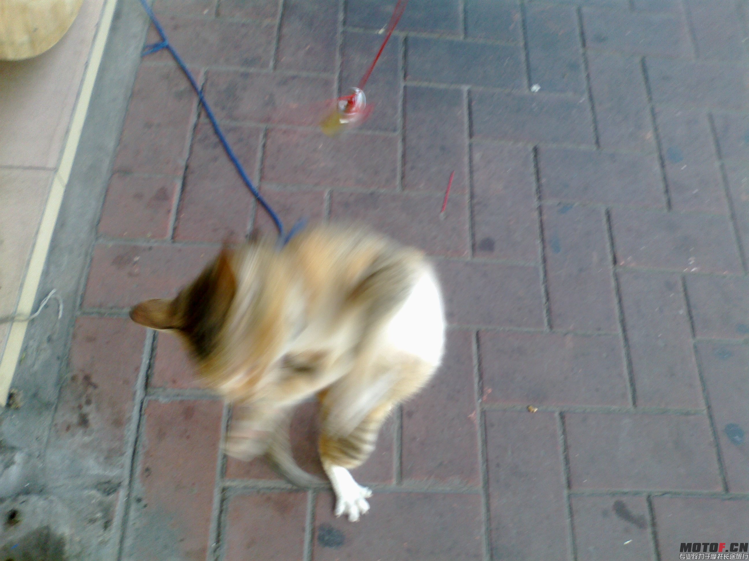 20140325488.jpg