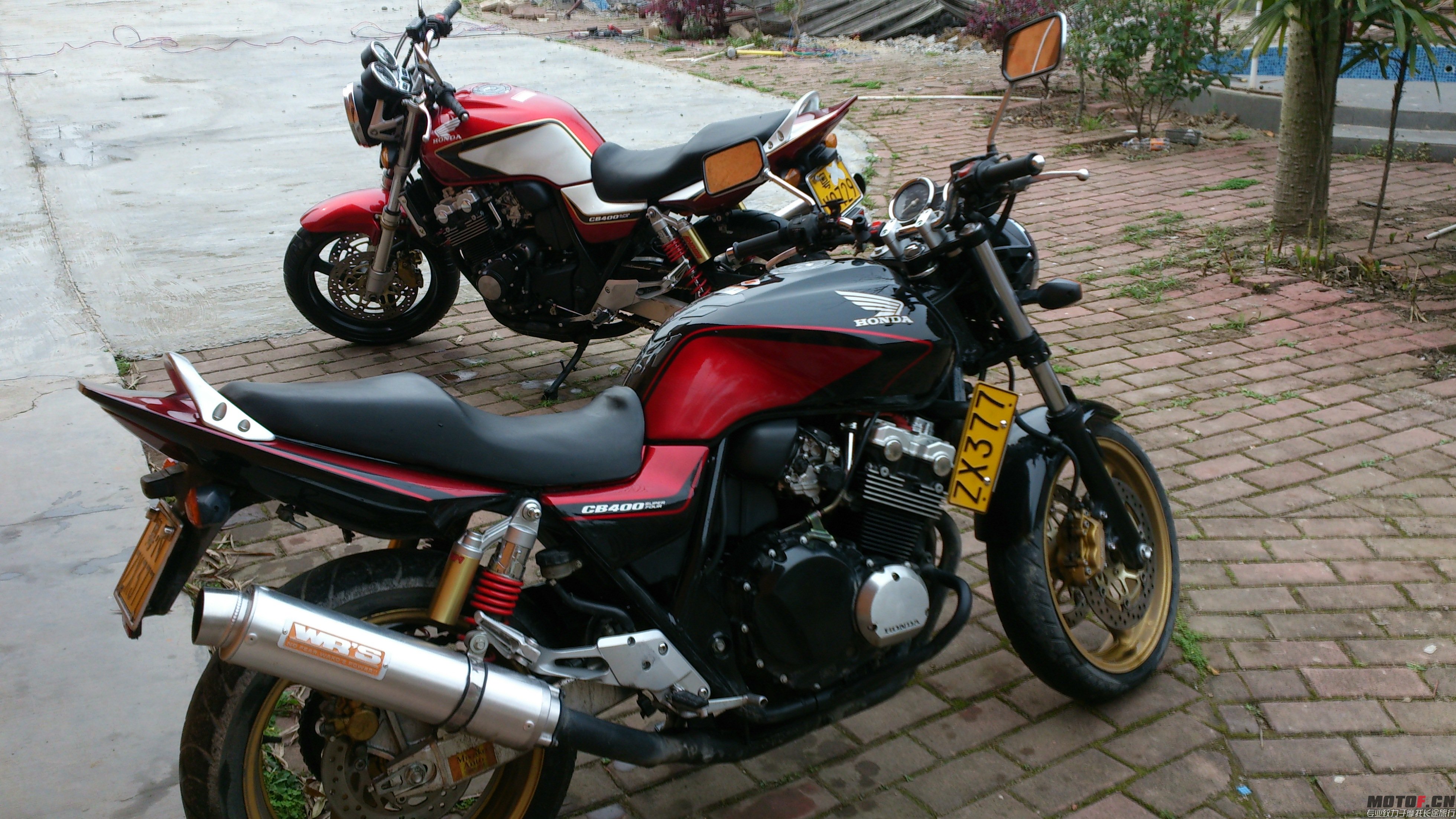 DSC_0503.JPG
