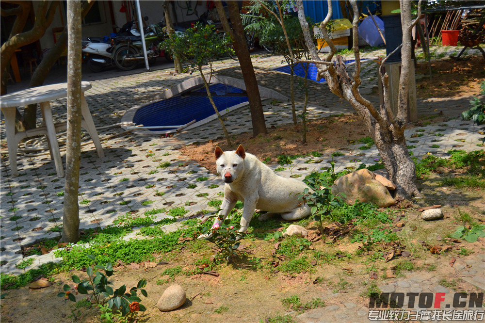 DSC_0269.jpg