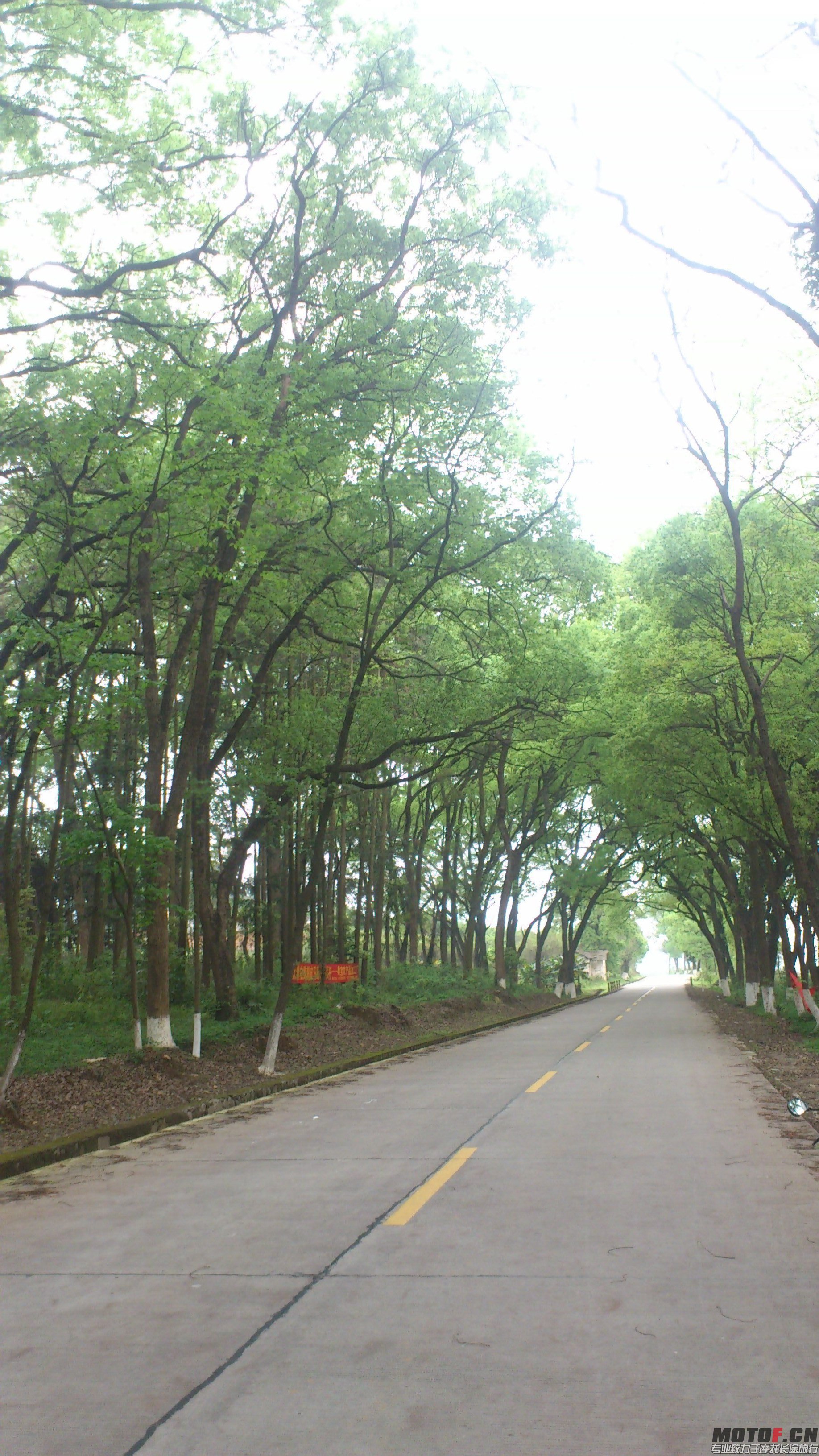 路途风景