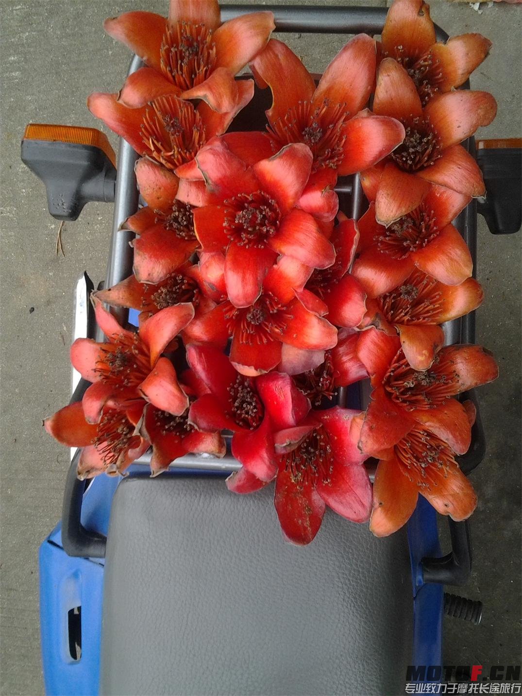 20140407_163151.jpg