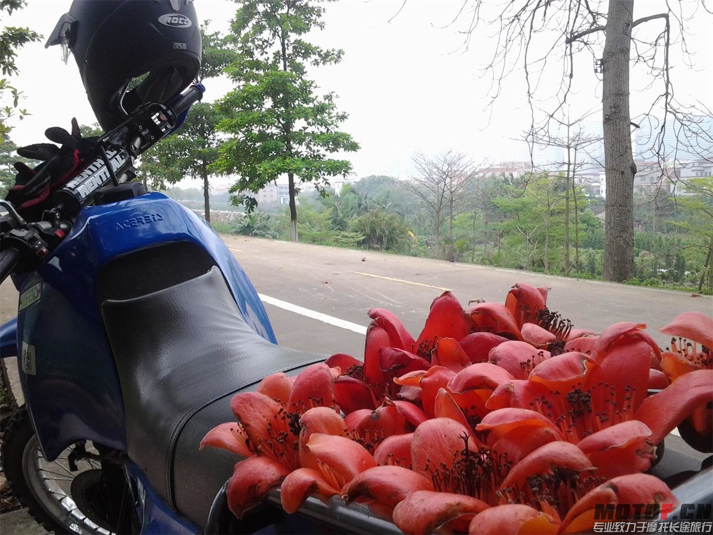 20140407_163209.jpg