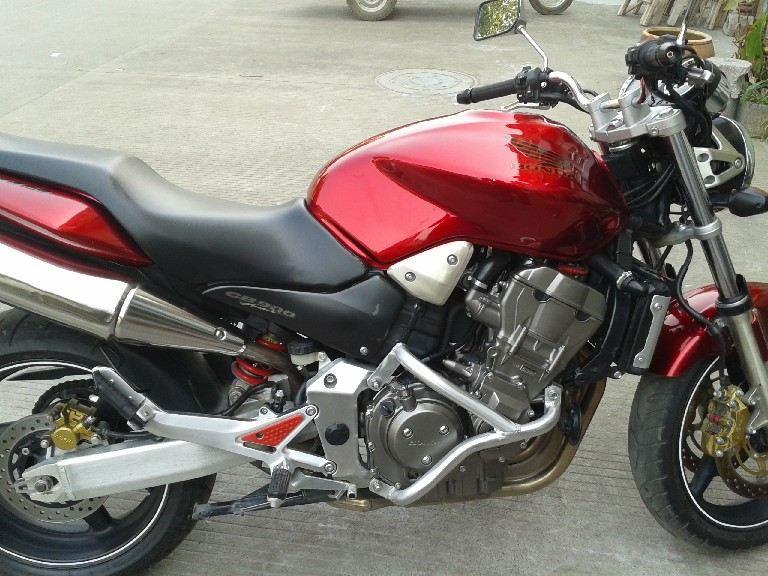 BigBull_20140119_130145.jpg