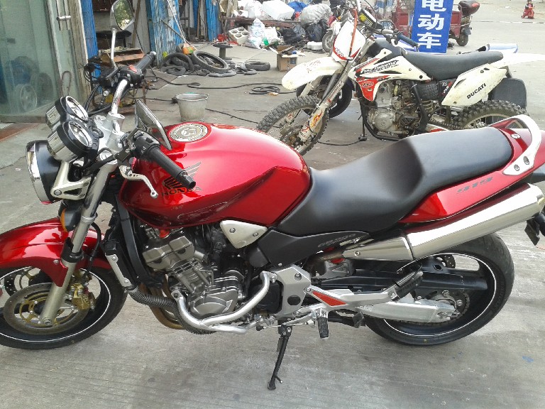 BigBull_20140119_130201.jpg