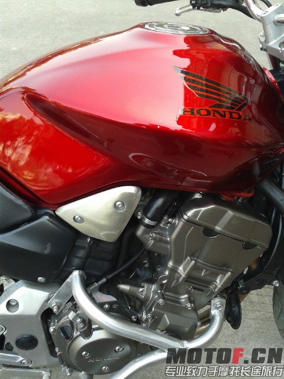 BigBull_20140119_130131.jpg