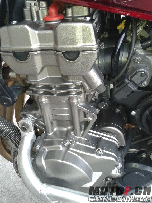 BigBull_20140119_130227.jpg
